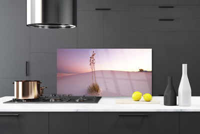 Painel vidro cozinha Paisagem de areia do deserto