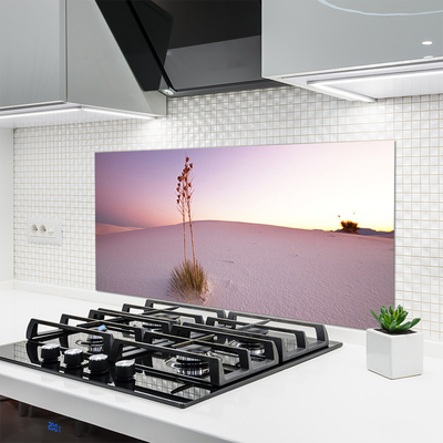 Painel vidro cozinha Paisagem de areia do deserto