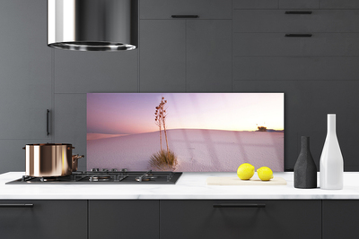 Painel vidro cozinha Paisagem de areia do deserto