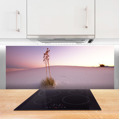 Painel vidro cozinha Paisagem de areia do deserto