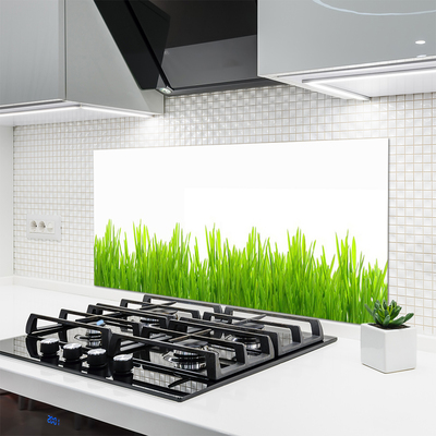 Painel vidro cozinha Natureza da planta grama