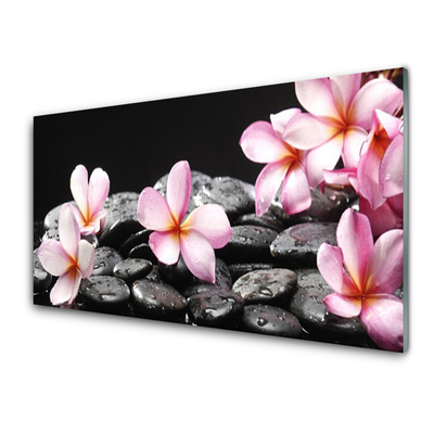 Painel cozinha Flor de Plumeria para a Parede