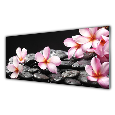 Painel cozinha Flor de Plumeria para a Parede