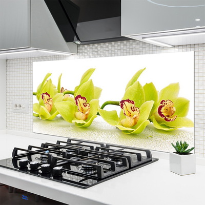 Painel vidro cozinha Flores Planta Natureza