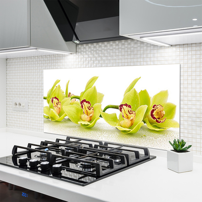 Painel vidro cozinha Flores Planta Natureza