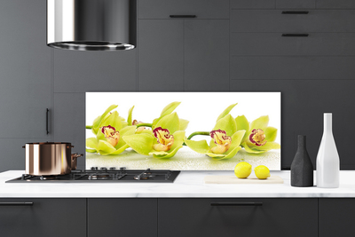 Painel vidro cozinha Flores Planta Natureza