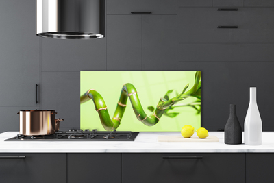 Painel cozinha Natureza da planta de bambu