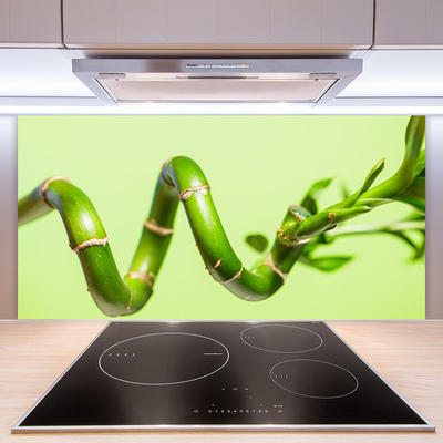 Painel cozinha Natureza da planta de bambu