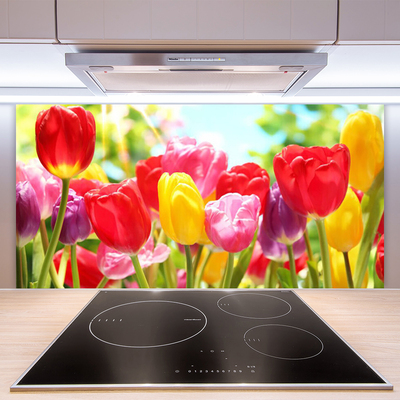 Painel vidro cozinha Tulipas Flores Planta