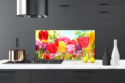 Painel vidro cozinha Tulipas Flores Planta