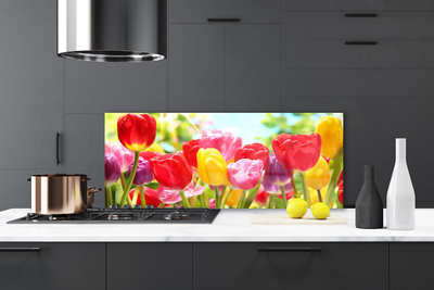 Painel vidro cozinha Tulipas Flores Planta