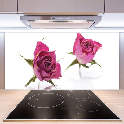 Painel cozinha Planta de flores rosas