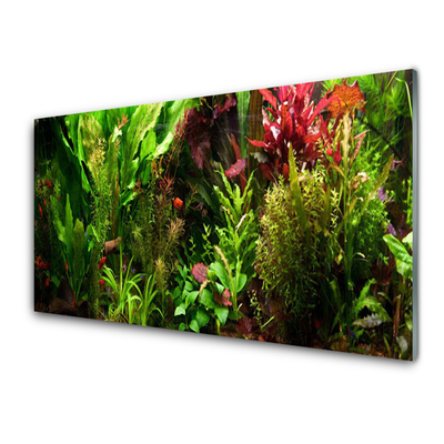 Painel vidro cozinha Plantas Flores Natureza