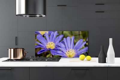 Painel cozinha Flores Planta Natureza