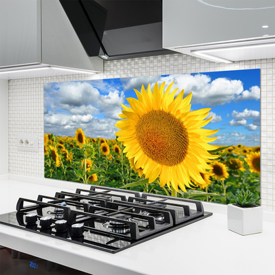 Painel cozinha Planta de flor de girassol