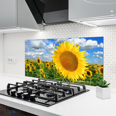 Painel cozinha Planta de flor de girassol