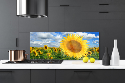Painel cozinha Planta de flor de girassol
