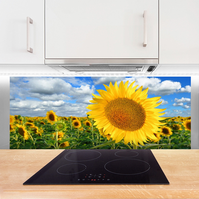 Painel cozinha Planta de flor de girassol