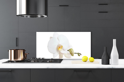 Painel vidro cozinha Flor Planta Natureza