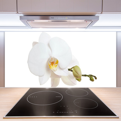 Painel vidro cozinha Flor Planta Natureza