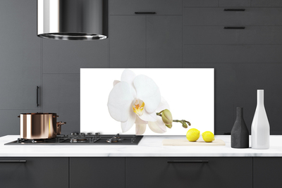 Painel vidro cozinha Flor Planta Natureza