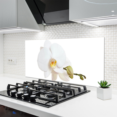 Painel vidro cozinha Flor Planta Natureza