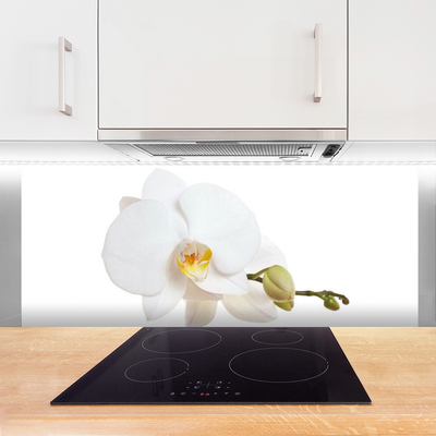 Painel vidro cozinha Flor Planta Natureza