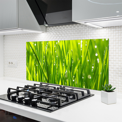 Painel cozinha Natureza da planta grama