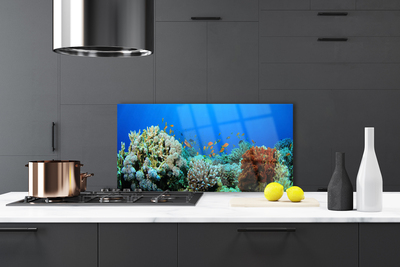 Painel cozinha Natureza dos recifes de corais