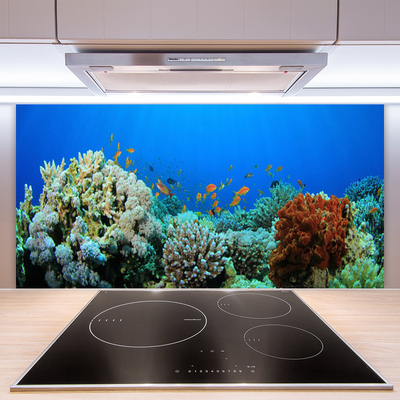 Painel cozinha Natureza dos recifes de corais