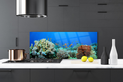 Painel cozinha Natureza dos recifes de corais