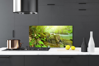 Painel cozinha Lago Rio Natureza