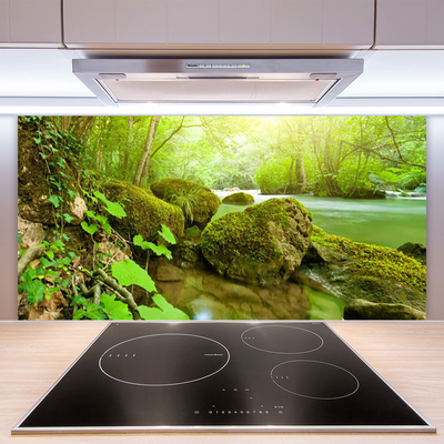 Painel cozinha Lago Rio Natureza