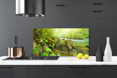 Painel cozinha Lago Rio Natureza