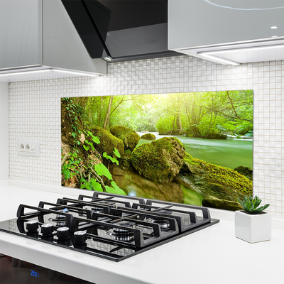 Painel cozinha Lago Rio Natureza