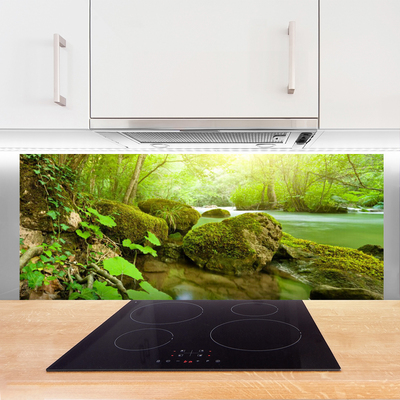 Painel cozinha Lago Rio Natureza