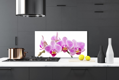 Painel cozinha Flores Planta Natureza