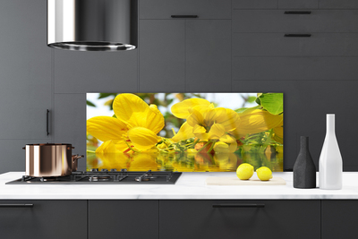Painel cozinha Flores Planta Natureza