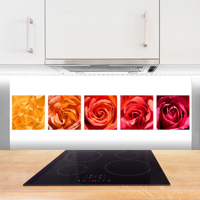 Painel cozinha Planta de flores rosas
