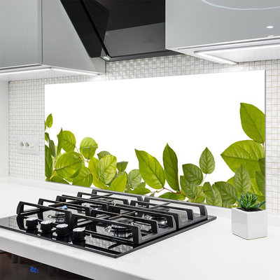 Painel vidro cozinha Folhas Natureza Planta
