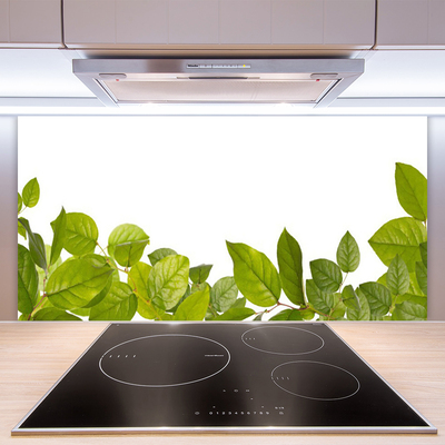 Painel vidro cozinha Folhas Natureza Planta