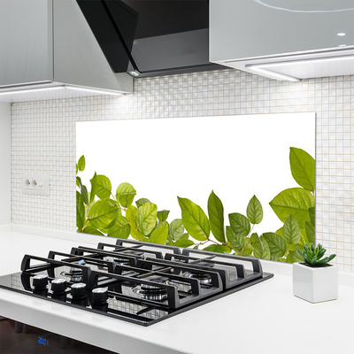 Painel vidro cozinha Folhas Natureza Planta