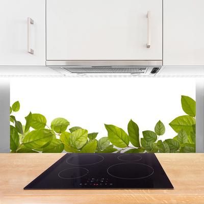 Painel vidro cozinha Folhas Natureza Planta