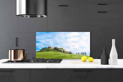 Painel vidro cozinha Paisagem de árvores de prado