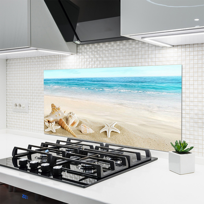 Painel cozinha Conchas de estrelas do mar