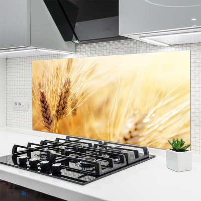 Painel cozinha Natureza da planta de trigo