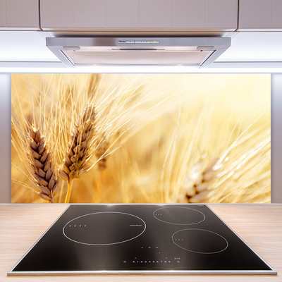 Painel cozinha Natureza da planta de trigo