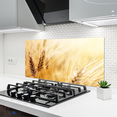Painel cozinha Natureza da planta de trigo