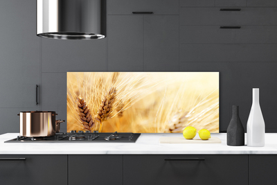 Painel cozinha Natureza da planta de trigo