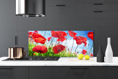 Painel vidro cozinha Papoulas Plantam Natureza